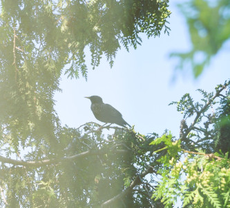 Вид из окна