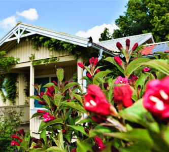 Территория гостиничного комплекса