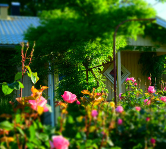 Территория гостиничного комплекса