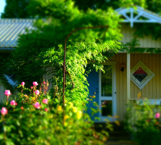 Территория гостиничного комплекса