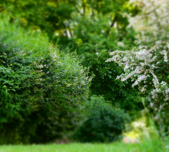 Территория гостиничного комплекса