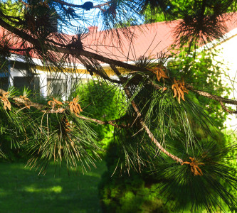 Территория гостиничного комплекса