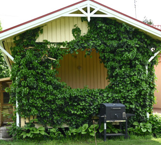 Территория гостиничного комплекса